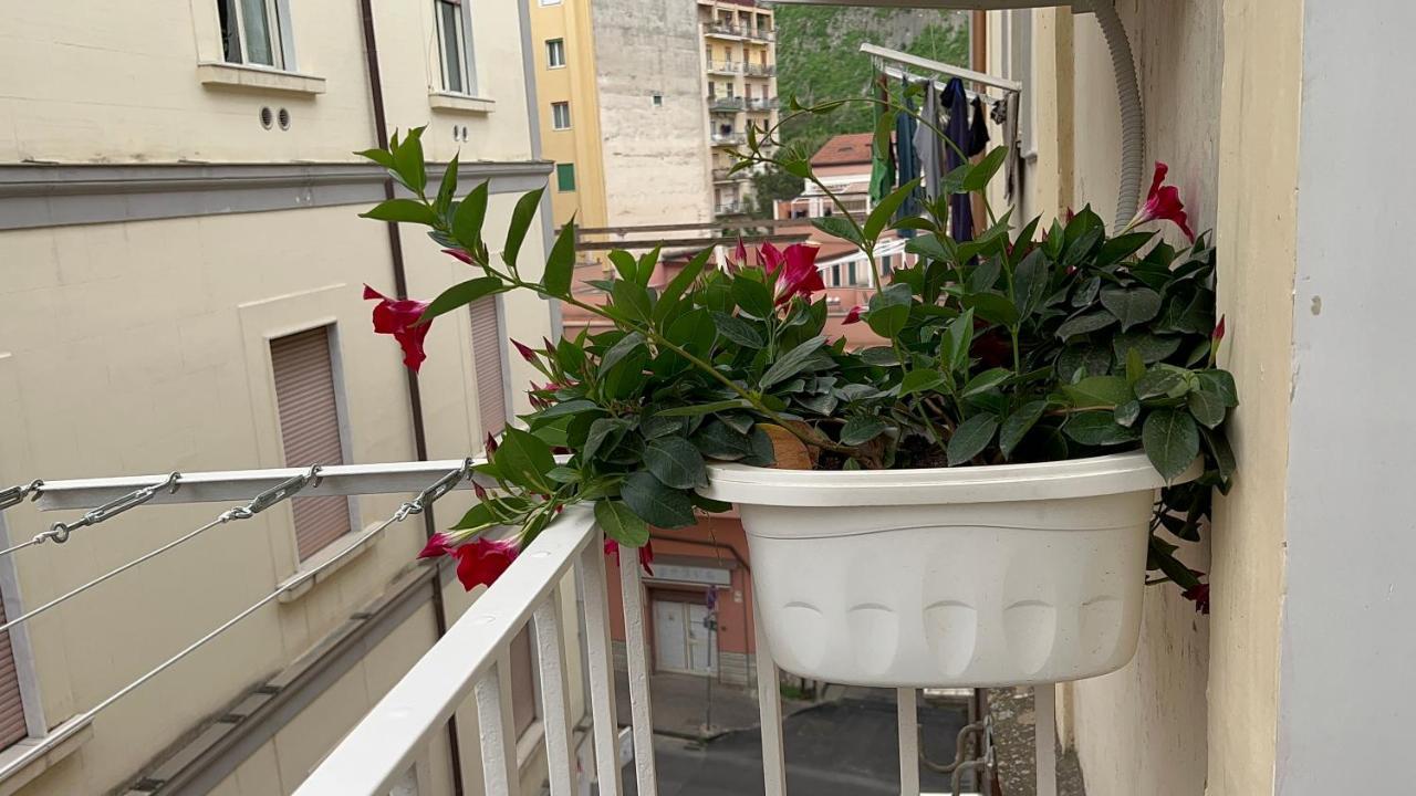 St. Vincent Apartment Castellammare di Stabia Eksteriør bilde